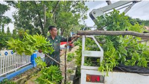 Sekertaris DIKBUD BOMBANA