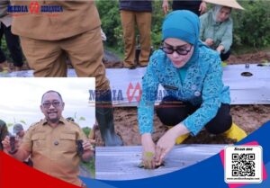 Screenshot_20250922_090134_Canva